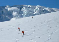 A group skiing down the glacier.