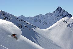 Skier.